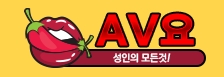 AV요